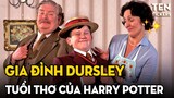 Gia Đình Dursley - Nhà Muggle Kiểu Mẫu | Harry Potter Series