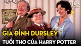 Gia Đình Dursley - Nhà Muggle Kiểu Mẫu | Harry Potter Series