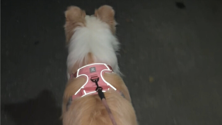 Aku nggak sengaja ketawa, bibirku memang selalu terlihat tersenyum.