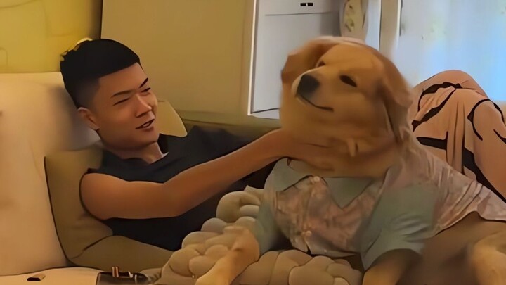 “الجرو يفهم كيف يتعامل مع البشر!”