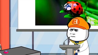 What you thought was the unification of Northeast China