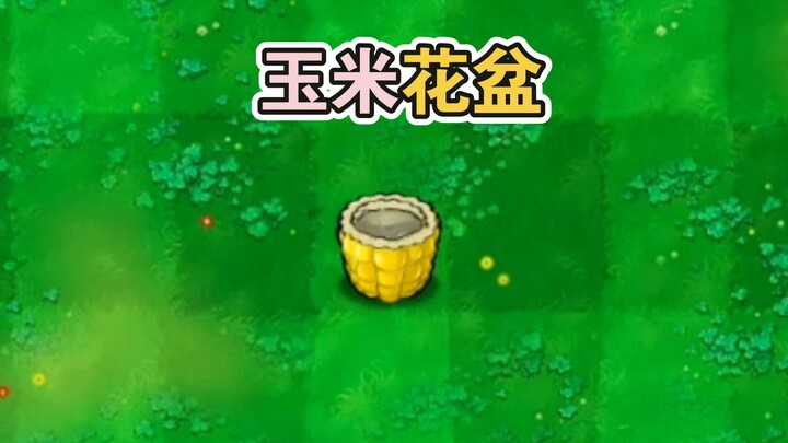 New Plant: Corn Flower Pot