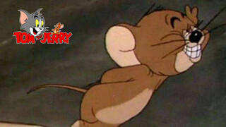 [Video lucu] Dubbing Spesial "Tom and Jerry"