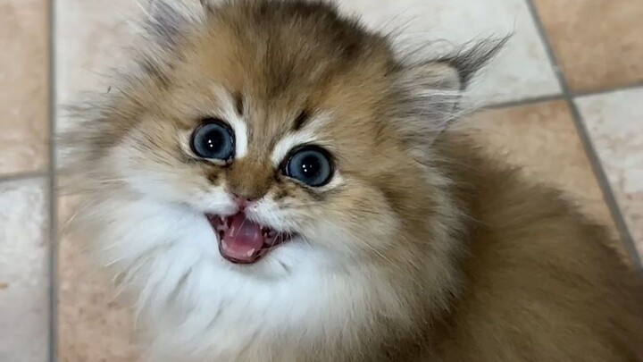 As soon as the time hits, they start making a racket 😂