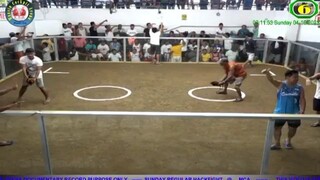 2x Winner Double Hatch