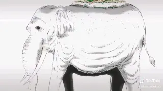 JoyBoy Gives A Name To the Oldest elephant In the World!!!