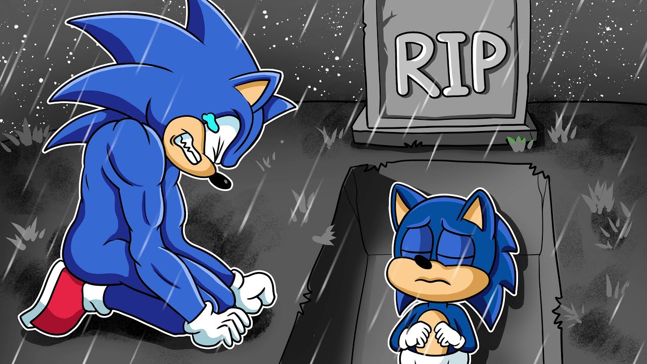 POOR SONIC LIFE — Baby Sonic !!! Please Come Back With Sonic and Amy— Sonic  the Hedgehog Animation, by squidgame