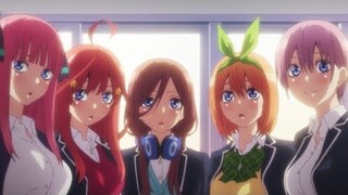 GoToubun No Hanayome II, [AMV] Stereo Hearts