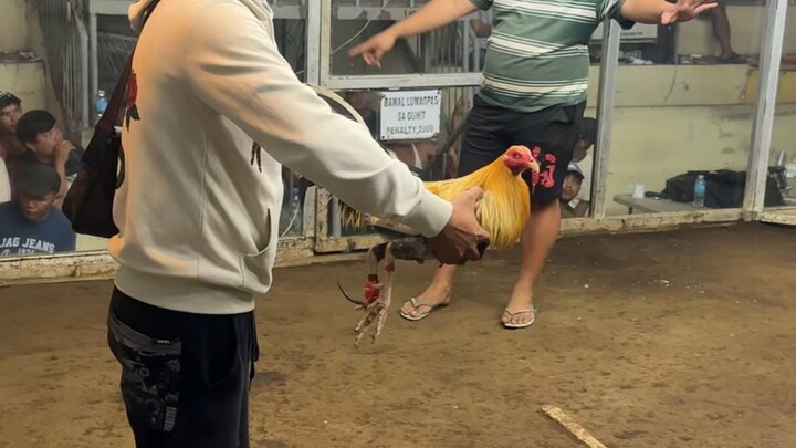 Unang butaw ko sa buhay ko na pumkin 🐓