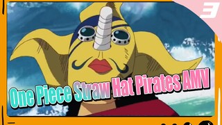 One Piece Straw Hat Pirates AMV