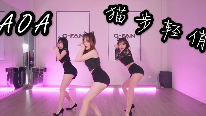 AOA-猫步轻俏  三只猫咪三倍快乐   轻轻躲进你的怀里  dance cover