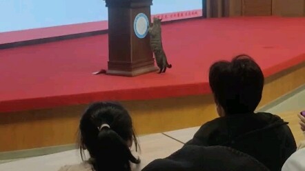 Nih, biar aku singkat aja.