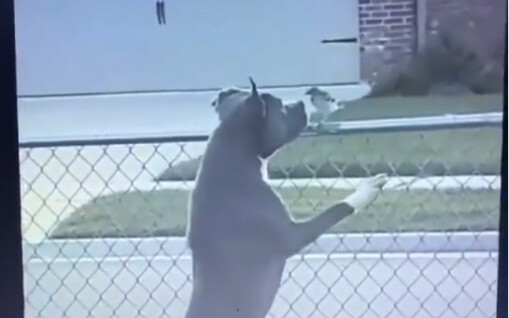 So good… Aaaahhhhhh!