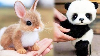 AWW Animals SOO Cute! Cute baby animals Videos Compilation cute moment of the animals #21