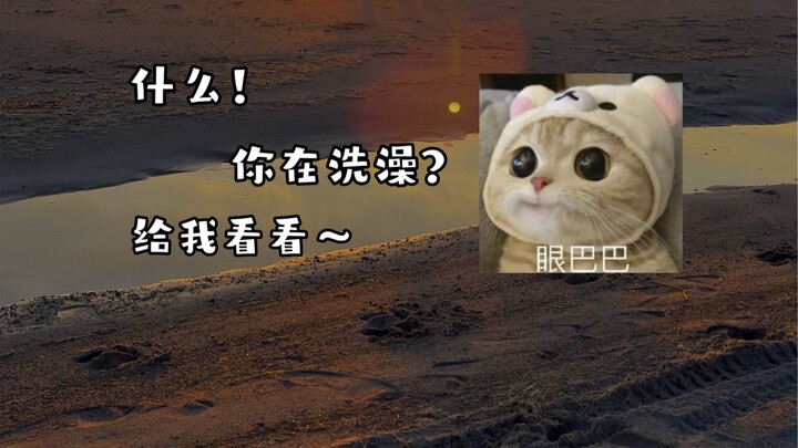 The Four Virtues of Today's Young People