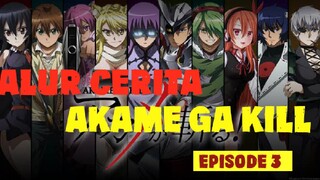 Akame Ga Kill Eps 3