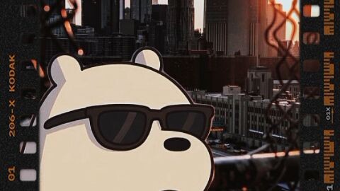 panda putih