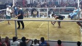 pila Laguna