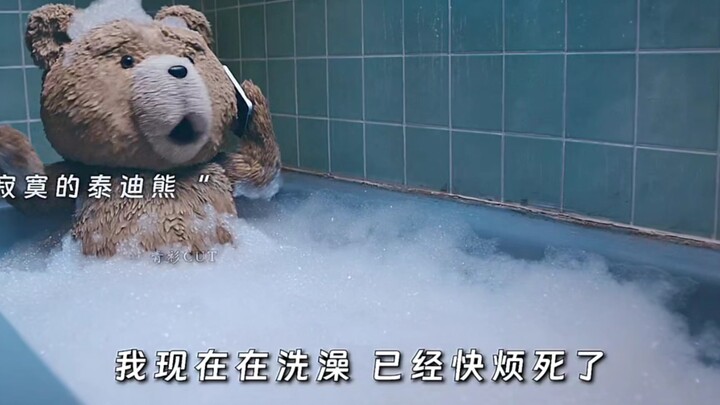 That sassy and adorable teddy bear is back again! I’m sure no one’s going to bother a teddy bear jus