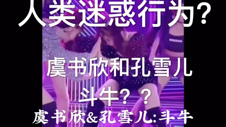 【Extraordinary Carnival】Kong Xue'er and Yu Shuxin in a bullfight? Sun Rui driving?