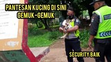 Tidak Di Sangka Security Ini Sayang Banget Sama Kucing Jalanan..!