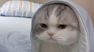 เรื่องราวในปี 2022 เมื่อชายคนหนึ่งกำลังพาหญิงตั้งครรภ์ไปโรงพยาบาล แต่เนื่องจากไม่ได้ให้ทางแก่เจ้าของ