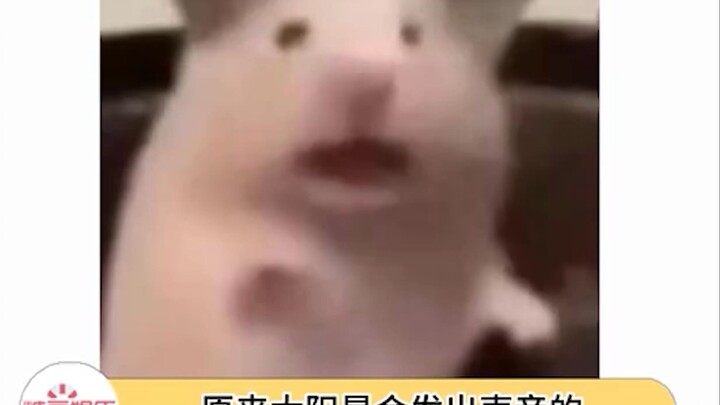 Hóa ra Mặt Trời cũng phát ra tiếng gầm rú!