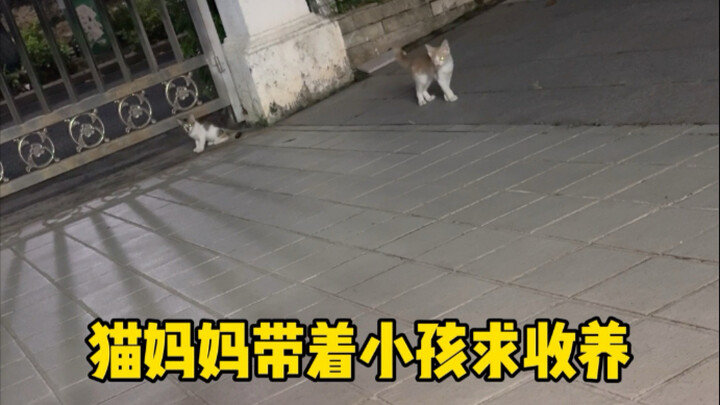 Aku benar-benar udah nggak punya cara lagi nih.