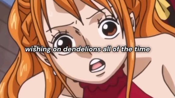 luffy x Nami