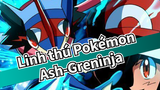 [Linh thú Pokémon/Bản phối hiệu đính] Cảnh chiến đấu của Ash-Greninja