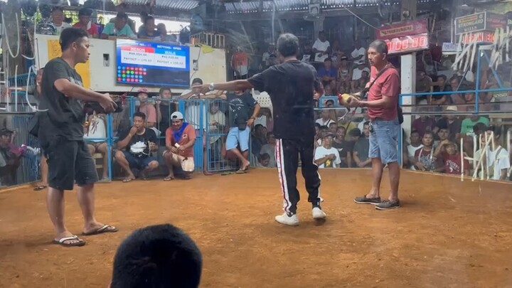 2nd.fight champion anislag cockpit😎