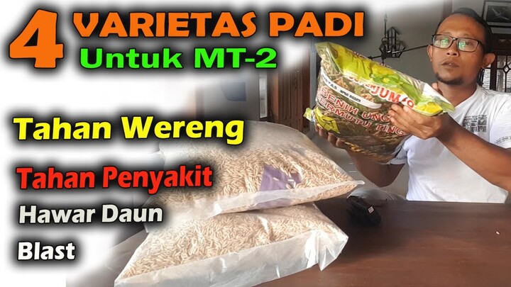 VARIETAS PADI UNTUK MT 2 TAHAN HAMA DAN PENYAKIT