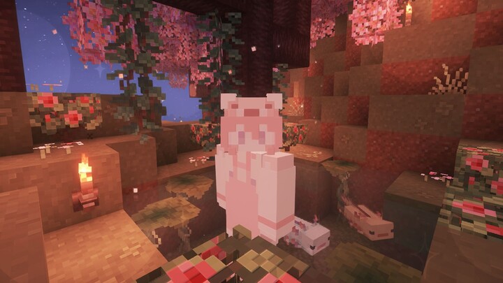 Sangat suka sudut kecil ini... Kolam kecil salamander di bawah pohon sakura~