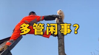 环卫工人救猫，被指多管闲事