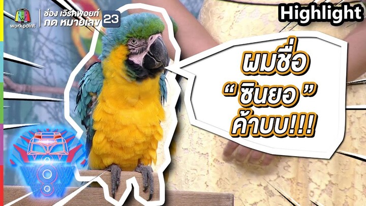 น้องซินยอ นกแก้วสุดเชื่อง | ชิงร้อยชิงล้าน ว้าว ว้าว ว้าว