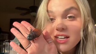 这真的不是在家里建了个动物园吗？