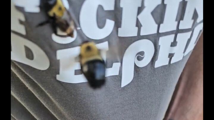 Hai người mau lên nào!