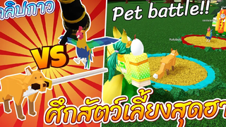 ROBLOX Build a Boat For Treasure - Pet Battle ศึกสัตว์เลี้ยงสุดฮา