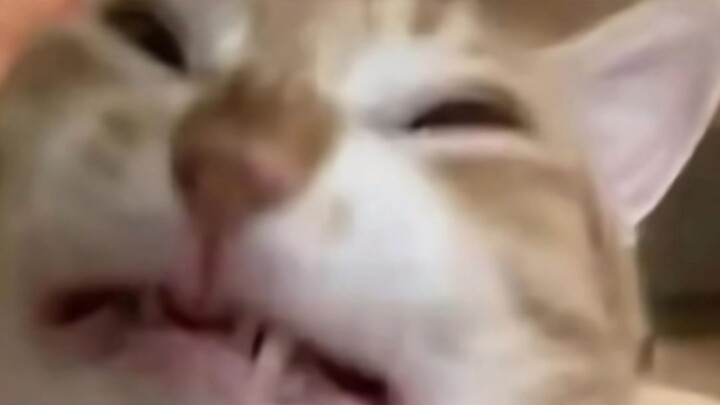 ما مدى رعب درجة تقييد الحيوانات بخصائص أعدائها الطبيعيين؟