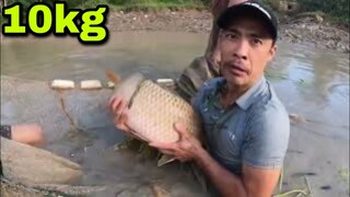 Kéo Lưới Vét Bắt Đàn Cá Chép Khổng Lồ 100kg Phản Ứng Quá Khích Của Fan Hà Nội Về Trải Nghiệm