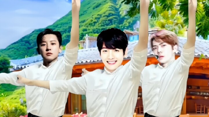 EXO其他成员喜不喜欢不知道，边伯贤一定爱的要死！