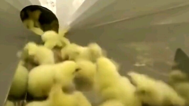 แล้วถ้าคนที่ถูกบดขยี้คือคุณล่ะ