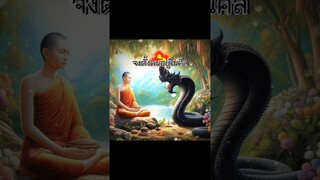#พญานาค #พญานาคสีดำ​#ลูกหลาน​พญานาค​ #ครูลัคกี้ #ครูลัคกี้แม่หมอพลังบวก #ดูดวง #หมอดู