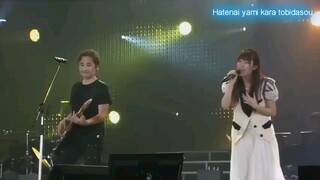 Dan Dan Kokoro Hikareteku