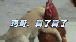 A Purely "Cai Xukun"-Focused Critique: Influencer Celebrities and the Alienation of Aesthetics