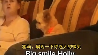 小狗合集