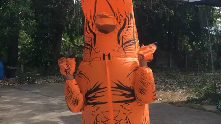Dinosaur