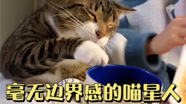 I hate cats who have no sense of boundaries!