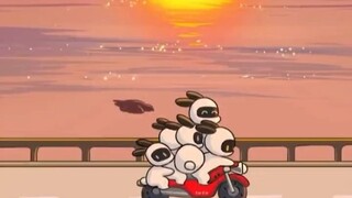 Tu Ke's Entrepreneurial Journey: Bunnies in the Sunset