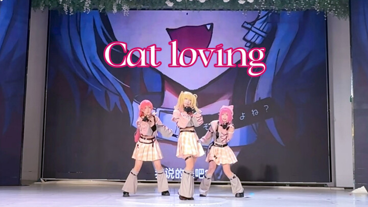 【Tư liệu sân khấu】Cat Loving của nhóm Valentine// Vừa nói “đã chán rồi” mà thực ra lại chẳng thể rời